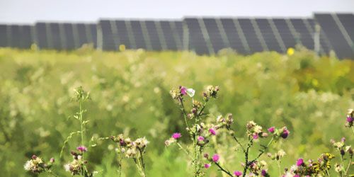 0.27元/千瓦時(shí)：德國太陽能招標(biāo)中標(biāo)價(jià)創(chuàng)最低紀(jì)錄